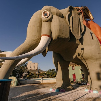 E-Comm: Airbnb Spring Break stays and experiences